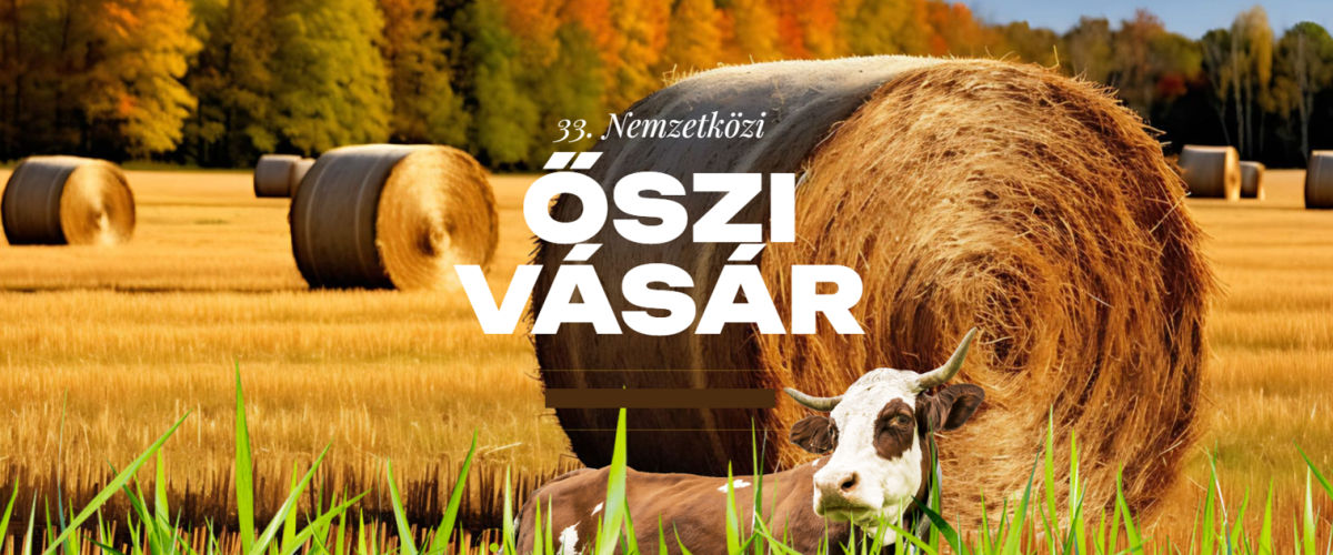 Erősödő magyar jelenlét a horvát piacon