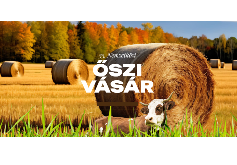 Erősödő magyar jelenlét a horvát piacon