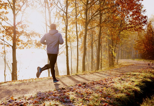 GESUND LEBEN MESSE